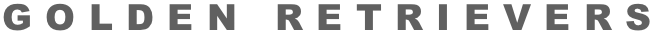 GOLDEN RETRIEVERS